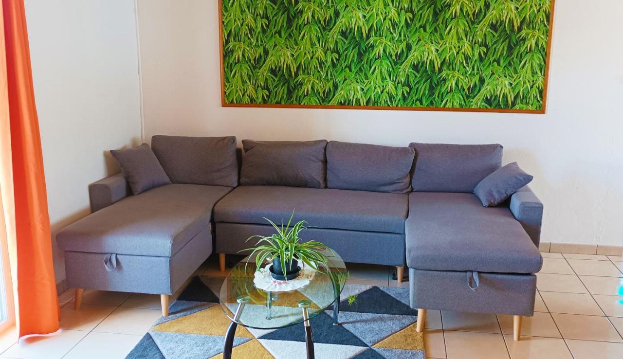 Villa Ou Appartement A Saint-Andre Reunion 외부 사진